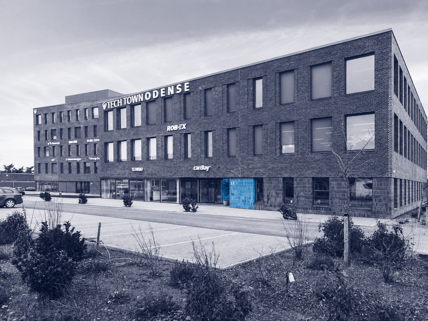 Odense Duotone