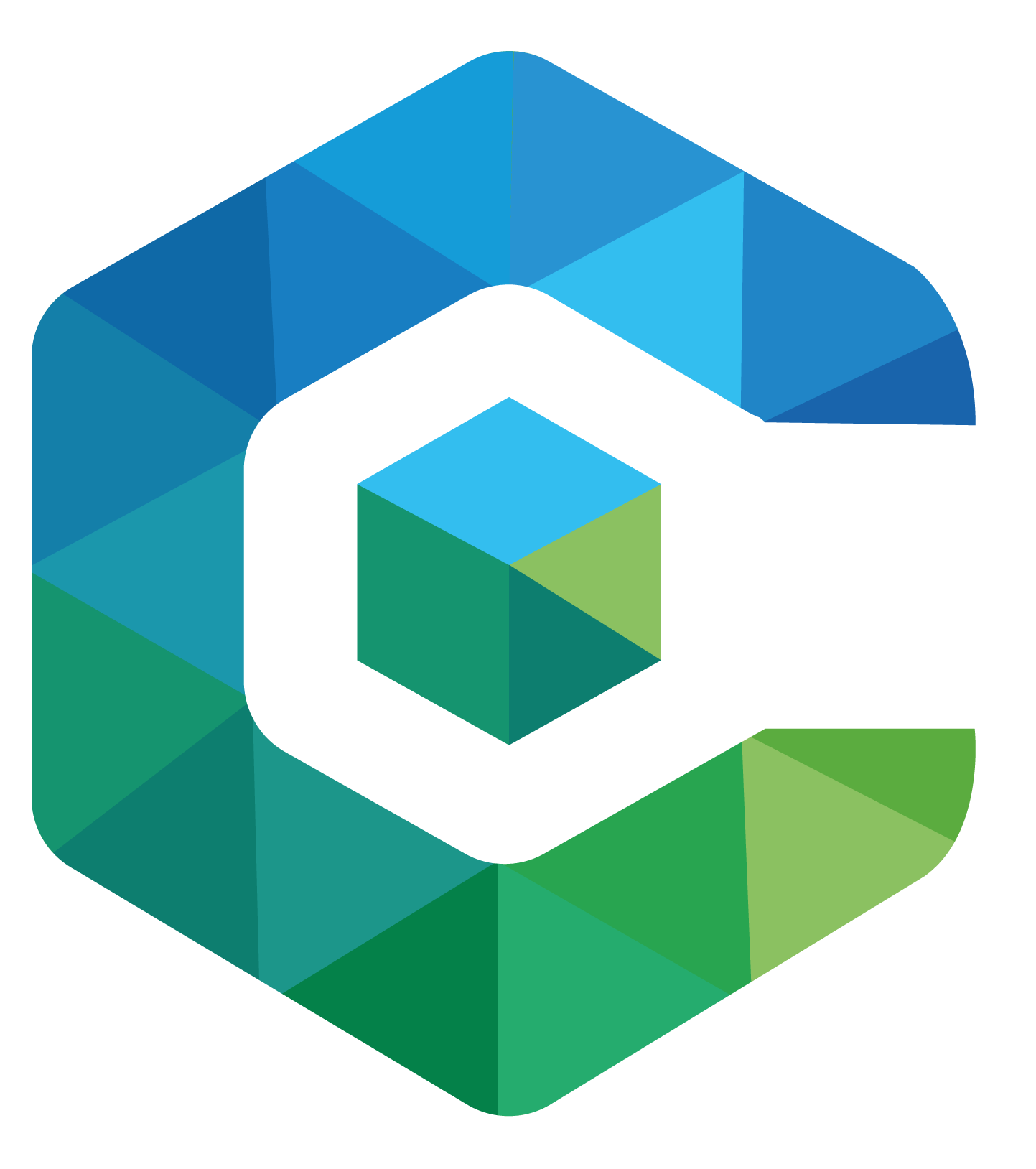 logo cognitech
